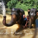 Thaïlande 2020 - Bain avec les Eléphants et descente en radeau