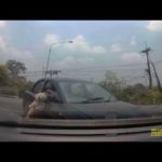 En Thaïlande une femme distraite par son chien au volant percute une voiture !