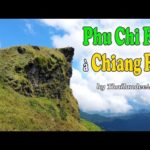 Voyage en Thaïlande : le Phu Chi Fa à Chiang Rai