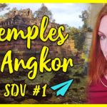 Je découvre le berceau de Tomb Raider (SDV #1)