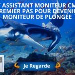Brevet Assistant Moniteur CMAS, le premier pas pour devenir moniteur de plongée avec Thailand Diving