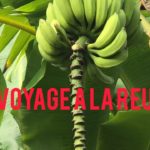SkYz3r - Mon Voyage A La Réunion ??