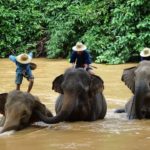 THAILANDE 2016
