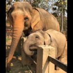 Road trip en Thaïlande