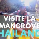 Canoe dans la mangrove / Krabi - Thailande