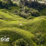 Malaisie