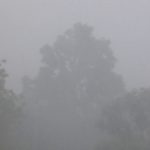Pluie torrentielle en Thaïlande de mon balcon