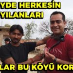 Hindistan'da Yılanları Evcilleştiren Köy (Boynuma Yılanı Doladı) King Cobra