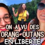 Vlog#2 : MON VOYAGE EN MALAISIE / A SINGAPOUR (Louis Vuitton, Orang-outans, jungle...)