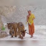 La Thaïlande par HomeTraveling