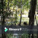 Nous Thailande 2017 _  Emerald pool a Krabi (2)