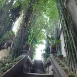 Mon voyage en Thaïlande 2014