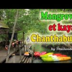 Voyage en Thaïlande : mangroves et kayak à Chanthaburi