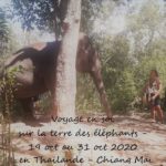 Voyage initiatique : la sortie de la crise permet de créer un tourisme solidaire et humanitaire...