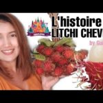 RAMBUTAN ; FRUIT À GOUTER EN THAÏLANDE  I  Guide francophone à Bangkok  I La Thaïlande de Pia