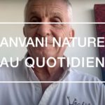 Le point en Thaïlande et l’huile d’olive