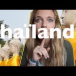 MON VOYAGE EN THAILANDE Ilaraflo