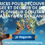 8 astuces pour decouvrir la plongée et décider de devenir un plongeur débutant, pattaya en thailande