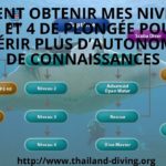 Comment obtenir mes niveaux 1 2 3 et 4 de plongée pour acquérir plus d’autonomie et de connaissances