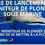 Moniteur de plongée sous marine, la vie de moniteur et 10 raisons de se mettre à la plongée