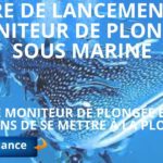 Moniteur de plongée sous marine, la vie de moniteur et 10 raisons de se mettre à la plongée