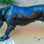 2 HOMMES ONT TROUVÉ UN CHIEN GELÉ DANS LE GOUDRON... REGARDEZ CE QUE LUI EST ARRIVÉ