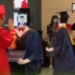 [Zap Net] Remise de diplôme au Japon ! (28/05/20)