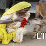 LES CHOSES LES PLUS ÉTRANGES A VOIR EN INDE.. les bizarreries de la société indienne I Jericho