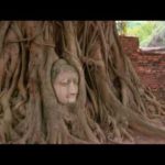 Les animaux et le sacré en Thaïlande extrait
