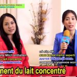 Chef's Choice Foods – l’entreprise alimentaire végane en Thaïlande, partie 1/2