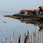 le bassin d'Arcachon, une expérience indémodable