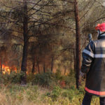 Pratique : Feux de forêt : les bons gestes pour les prévenir et s'en protéger