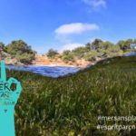 Méditerranée : Parc national de Port-Cros : une mer sans plastique cet été
