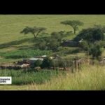 Afrique du Sud : en terre Zoulou - Échappées belles