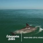 Week-end sur la Côte d'Emeraude - Échappées belles