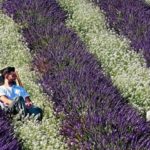 D’Aix-en-Provence à Saint-Tropez, dix idées originales pour (re)découvrir la Provence-Côte d’Azur