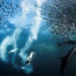 Dans l'objectif du photographe Greg Lecoeur