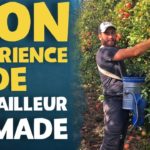 Travailler et gagner de l’argent en voyageant est il compliqué ?