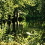 De la Nièvre au Mâconnais, dix idées originales pour (re)découvrir la Bourgogne