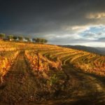 virée automnale dans la vallée du Douro