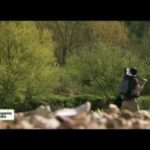 Pays de Loire - Echappées belles