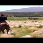Afrique du Sud - Echappées belles