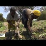 Zambie, un pays, un fleuve, des traditions Echappées belles