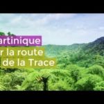 Martinique, un rayon de soleil - Échappées belles