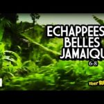 Echappées belles special Jamaique 6-8
