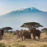 Formalités : Kenya : une autorisation de voyage électronique obligatoire dès le 1er janvier