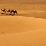 d'oasis en kasbahs, les pépites de la vallée du Drâa