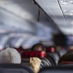 Peur de l'avion ? Les secrets d'un steward pour y remÃ©dier