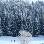 Ski de fond, raquettes... Le Jura, temple des activitÃ©s nordiques