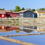 Charente-Maritime : Des échappées nature pour explorer la faune et la flore charentaises